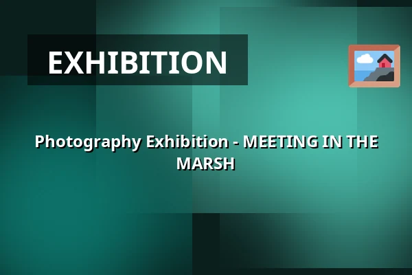 Photography Exhibition - MEETING IN THE MARSH — Muzeum JUDr. O. Kudrny v Netolicích, Netolice