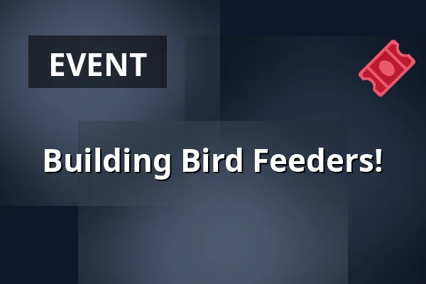 Building Bird Feeders! — IC Broumovska, Broumov