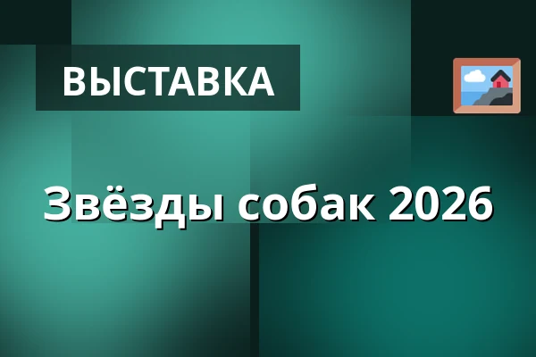 Звёзды собак 2026 — Doksy, Кладно