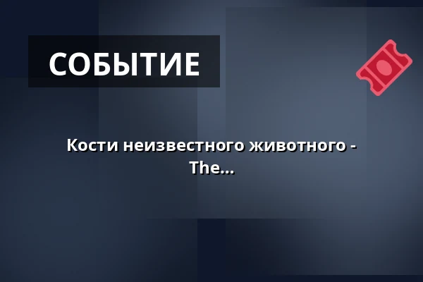 Кости неизвестного животного - воскресная Ателье для детей ⬩ DATAS: The Data and the Sovereign — Rudolfinum, Прага