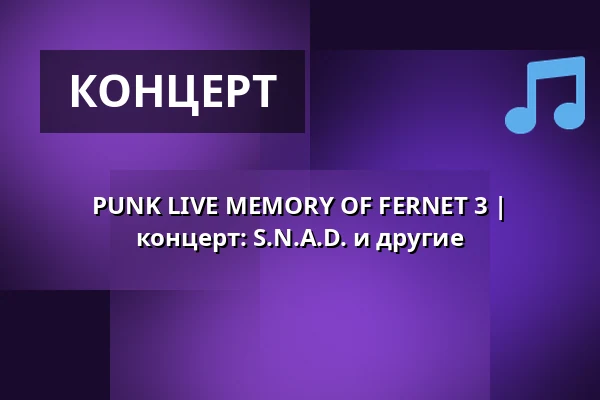 PUNK LIVE MEMORY OF FERNET 3 | концерт: S.N.A.D. и другие — Auto Da Fé, Кладно