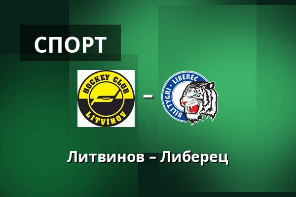 Литвинов – Либерец — Литвинов