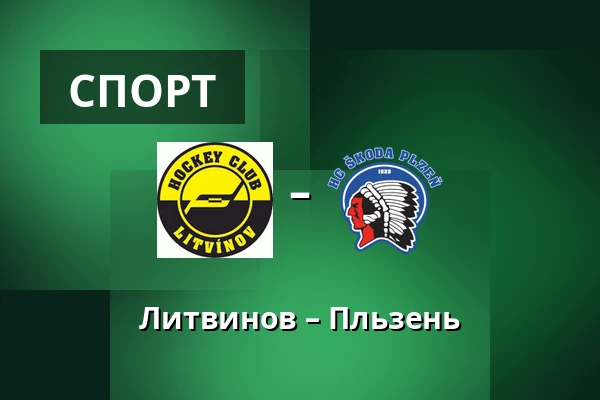 Литвинов – Пльзень — Литвинов