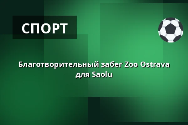 Благотворительный забег Zoo Ostrava для Saolu