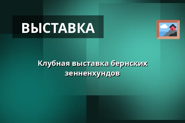 Клубная выставка бернских зенненхундов — Лагерь Олшовец Ендовнице, Jedovnice
