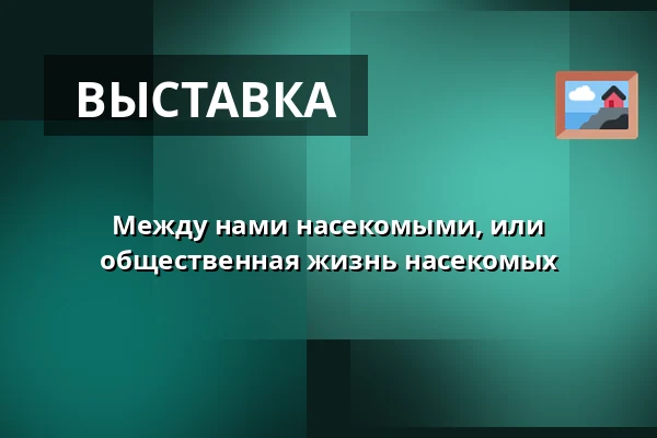Между нами насекомыми, или общественная жизнь насекомых — Дом природы Ждарских вершин, Sněžné