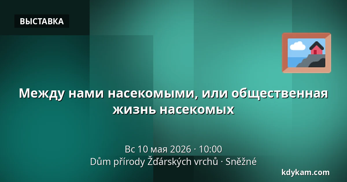 Между нами насекомыми, или общественная жизнь насекомых — Дом природы Ждарских вершин, Sněžné