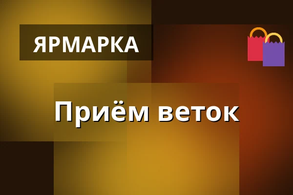 Приём веток — Парк Вендрыня, Vendryně