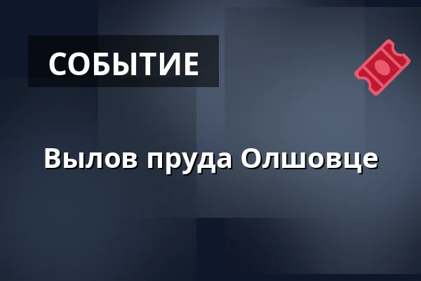 Вылов пруда Олшовце — Camp Olšovec Jedovnice, Jedovnice