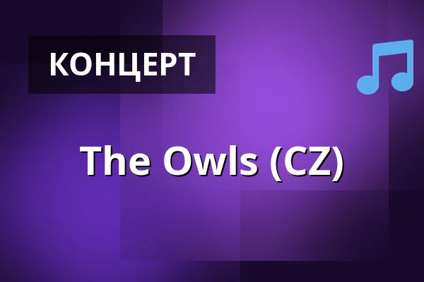 The Owls (CZ) — Pivní Bar Azyl, Либерец