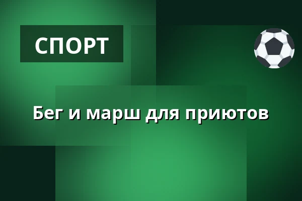 Бег и марш для приютов