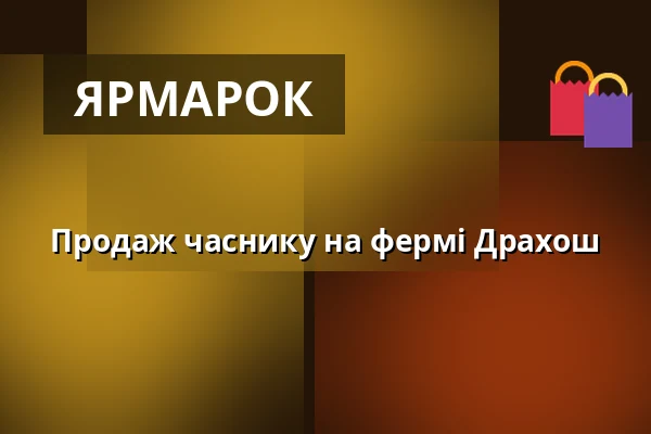 Продаж часнику на фермі Драхош — Farma Drahoš, Долні-Ужезд