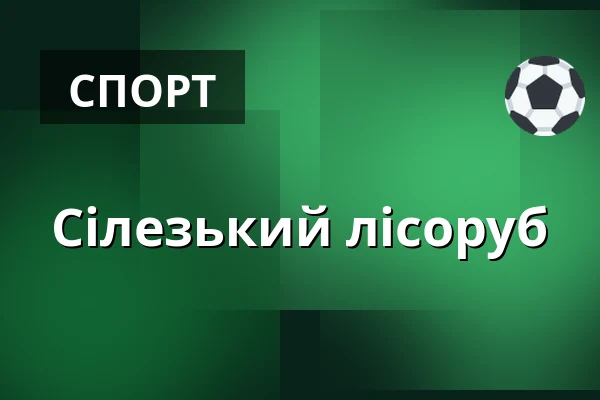 Сілезький лісоруб — Парк Вендриня, Vendryně